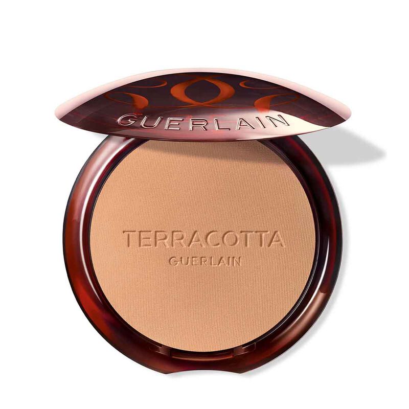 guerlain terra 21 bronz/pdr 01 r1