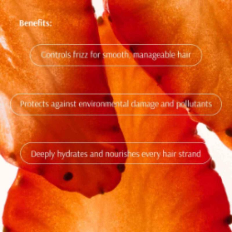 tara strawberry+ nmf nurture system