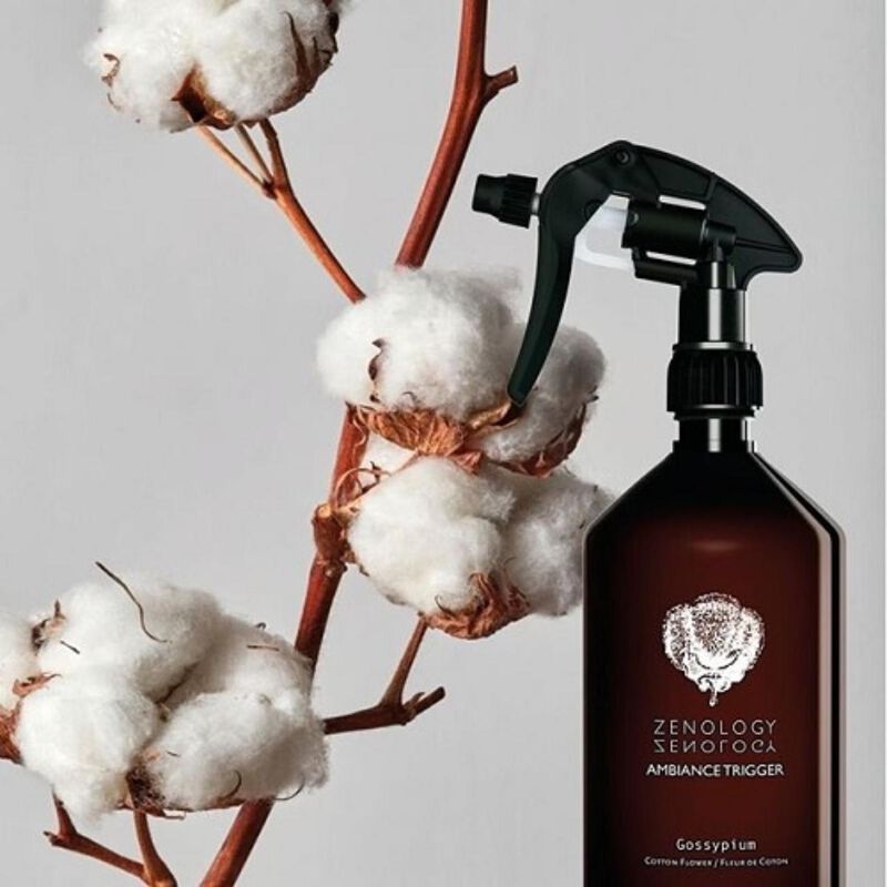 zenology gossypium  cotton flower