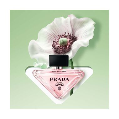 Paradoxe Virtual Flower faces paradoxe virtual flower