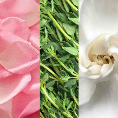 Facial Spray With Aloe, Herbs and Rosewater faces facial spray with aloe herbs and rosewater