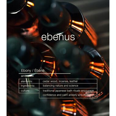 faces ebenus   ebony