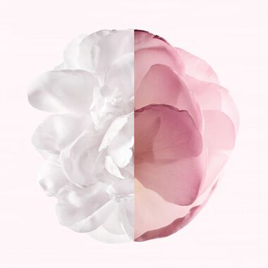 faces عطر ايريزيستبل فيري فلورال