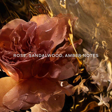 faces absolus allegoria santal royal