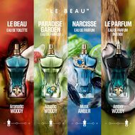 faces le beau narcisse