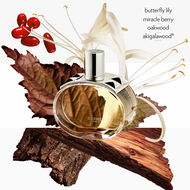 faces عطر بارينيا ريفل