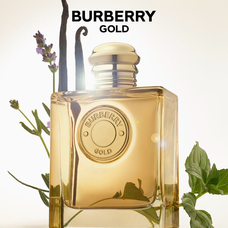 burberry gold intense