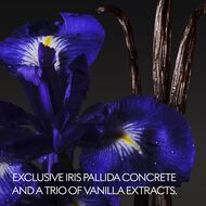 Alchemist's Garden Vanilla Firenze faces alchemist s garden vanilla firenze