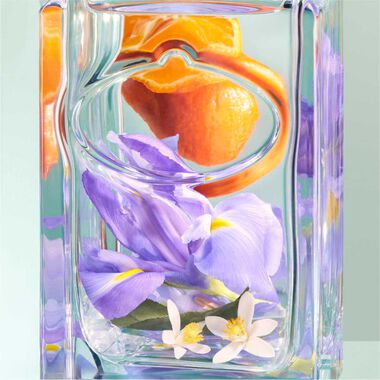 Les Infusions De Iris Eau De Parfum 100ml faces les infusions de iris eau de parfum 100ml