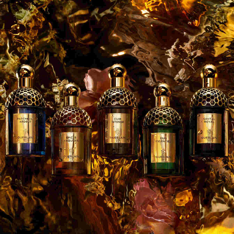 guerlain absolus allegoria santal royal