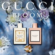 faces bloom ambrosia d oro
