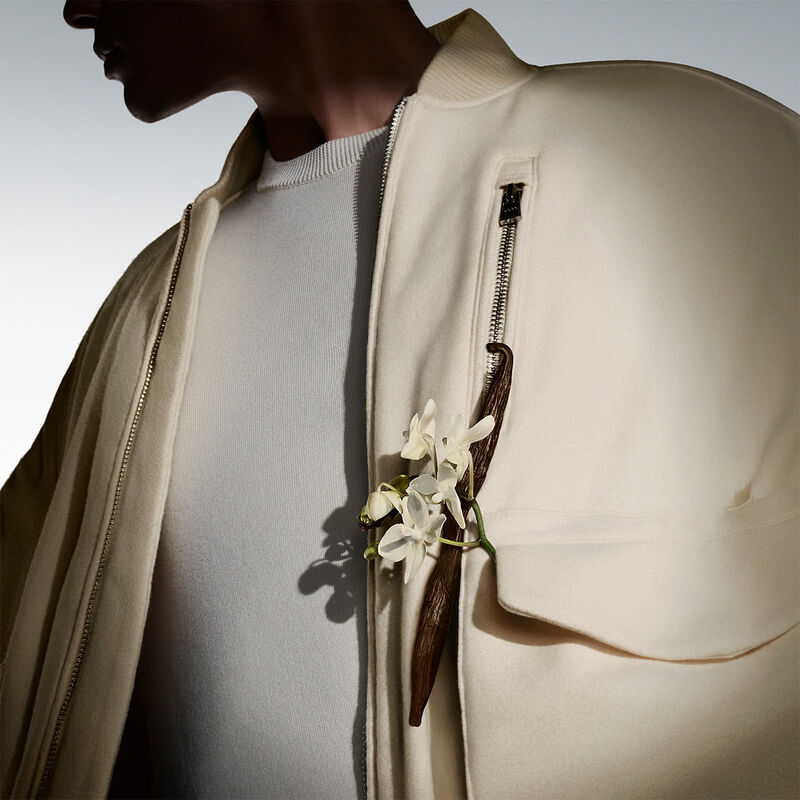 hugo boss the collection exhilarating vanilla intense