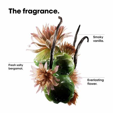 faces absolut repair molecular professional bi phase oil