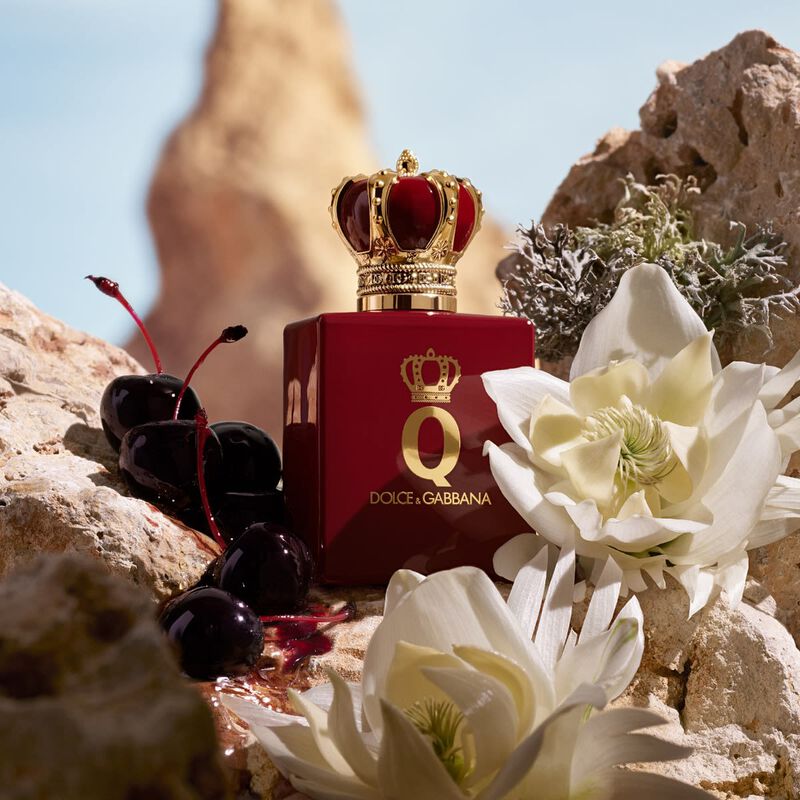 dolce  gabbana q elixir
