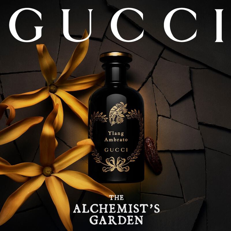 gucci the alchemist's garden ylang ambrato