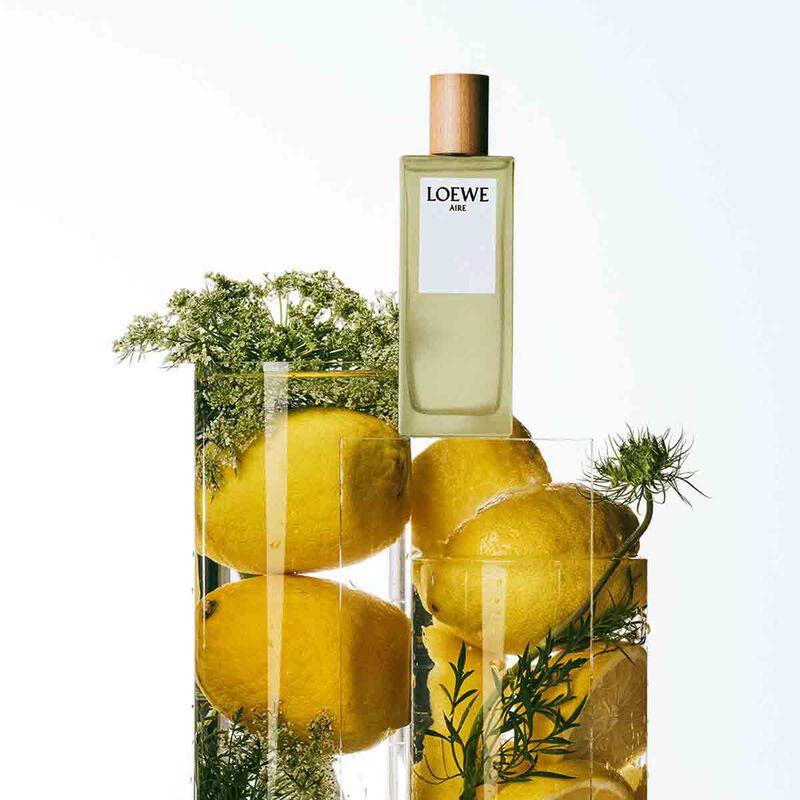 loewe aire eau de toilette 100ml rebottling 2021