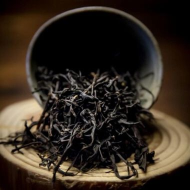 faces camelia sinensis   black tea