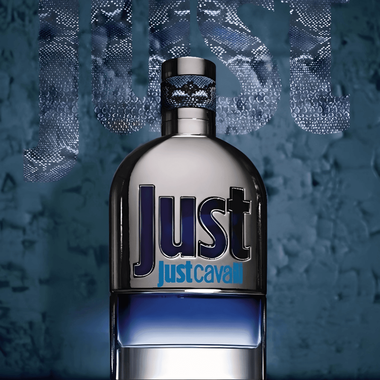 faces just cavalli