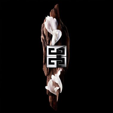 faces gentleman society eau de parfum