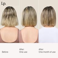 faces restore repair mask