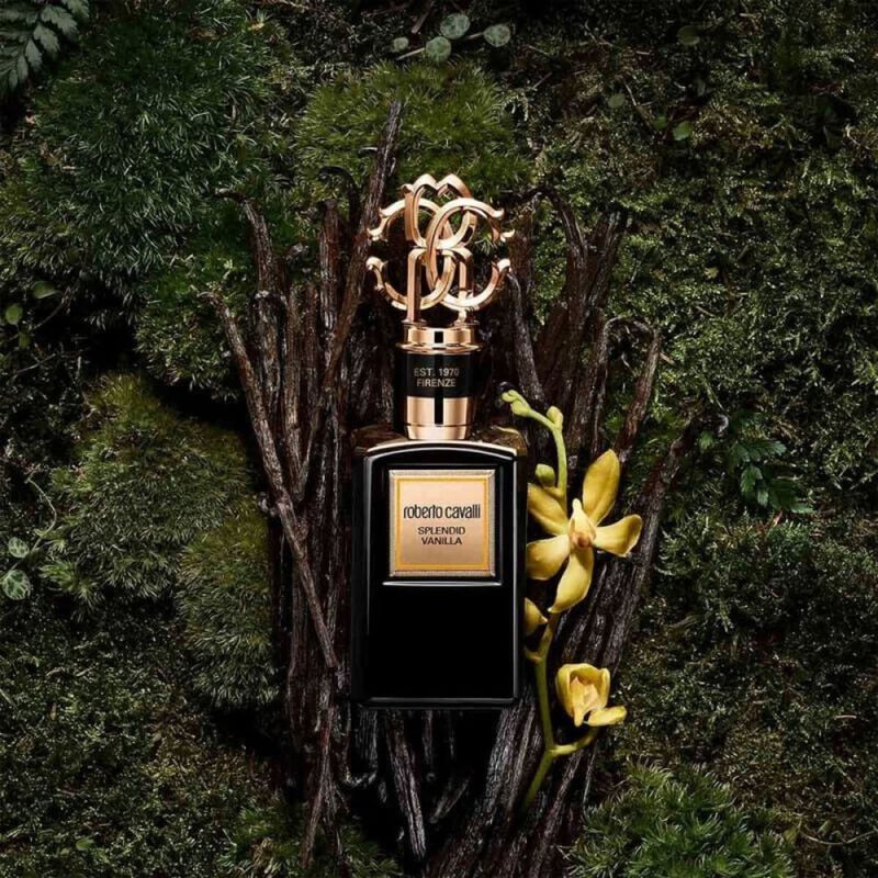 روبرتو كافالي عطر غولد سبلنديد فانيلا