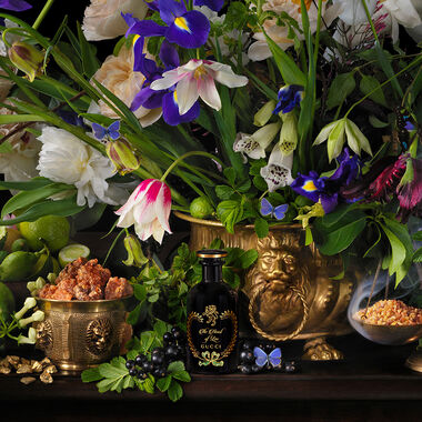 faces the alchemists garden the heart of leo