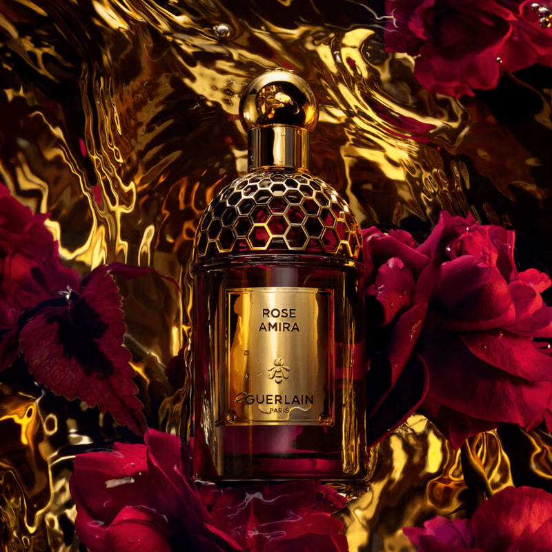 faces absolus allegoria rose amira