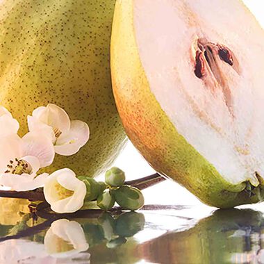 عطر مون جيرلان سباركلينج بوكيه أو دو بارفان faces عطر مون جيرلان سباركلينج بوكيه أو دو بارفان