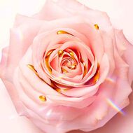 Idole Leau De Parfum Nectar Eau de Parfum faces idole leau de parfum nectar eau de parfum