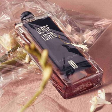 faces عطر نوي دي السيلوفان