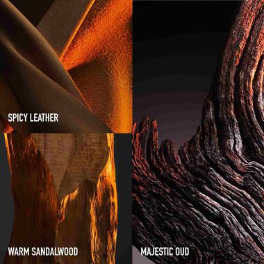 1 Million Golden Oud Parfum Intense faces 1 million golden oud parfum intense