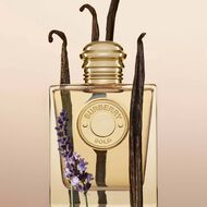 faces burberry gold