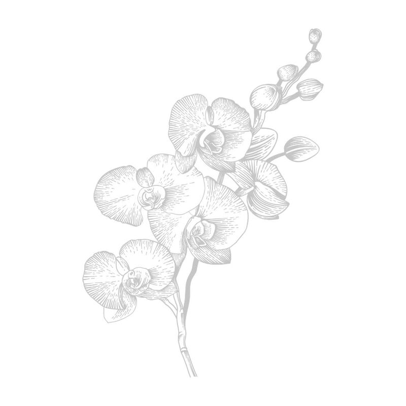van cleef arpels orchid leather