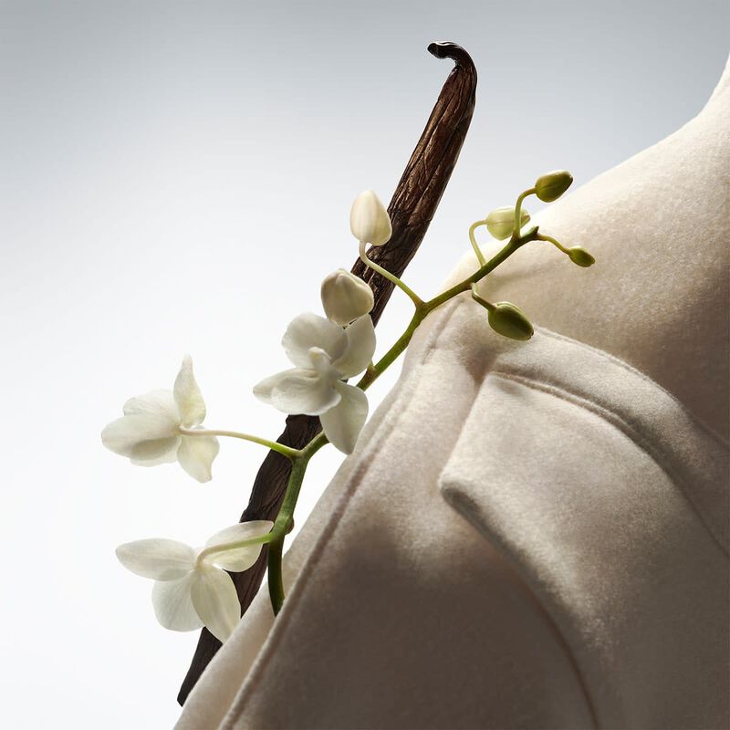hugo boss the collection exhilarating vanilla intense