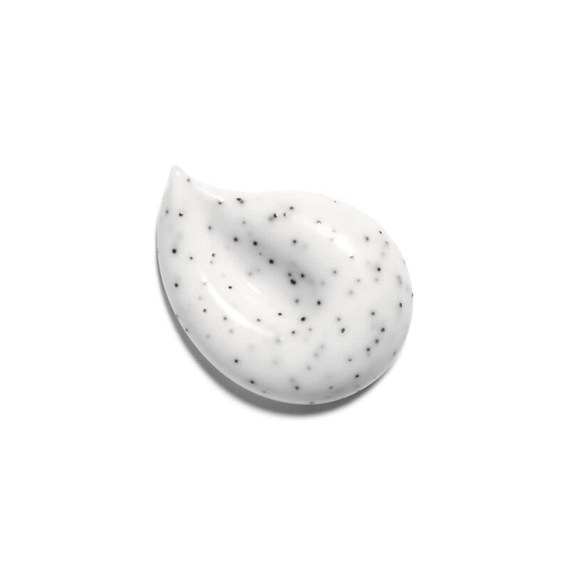 chanel le masque camellia exfoliating mask