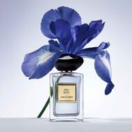 عطر أرماني/بريفيه آيريس بلو faces عطر أرماني بريفيه آيريس بلو