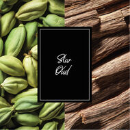 faces collection star oud eau de parfum