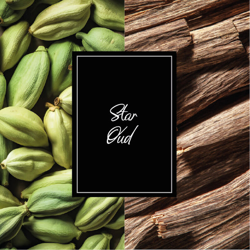 mont blanc collection star oud eau de parfum
