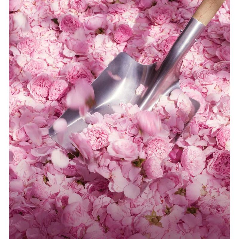 ديور miss dior
