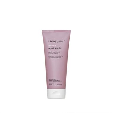 faces restore repair mask