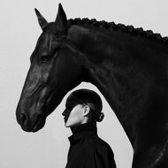 faces stallion leather suede
