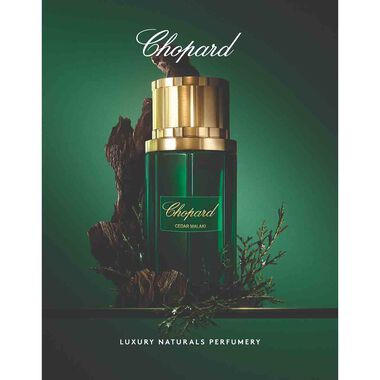 Malaki Cedar Eau de Parfum faces malaki cedar eau de parfum