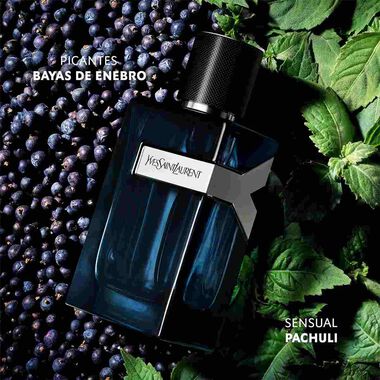 faces y edp intense