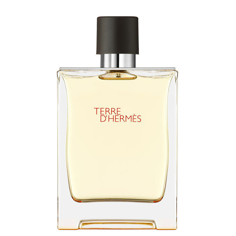 hermes terre d'hermes eau de toilette
