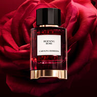 faces burning rose