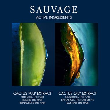 Sauvage Taming and Hydrating faces sauvage taming and hydrating
