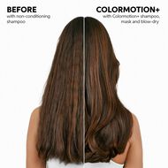 faces colormotion  structure mask