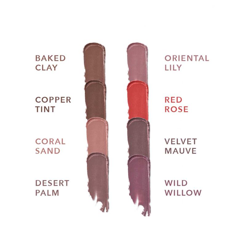 noha nabil lip ink