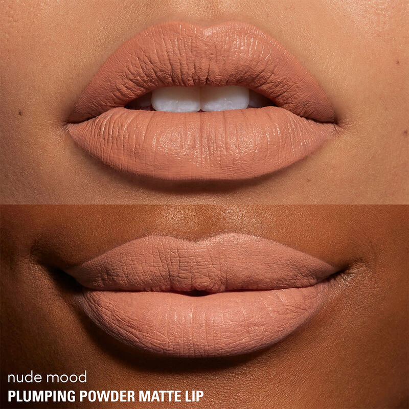 kylie cosmetics plumping powder matte lip