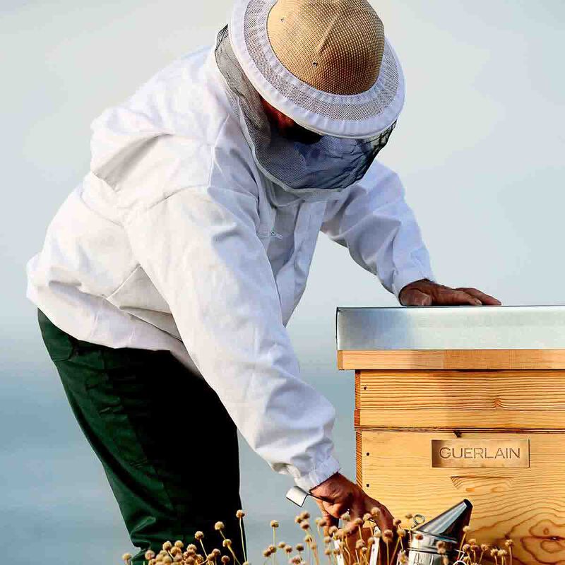 guerlain abeille royale honey treatment